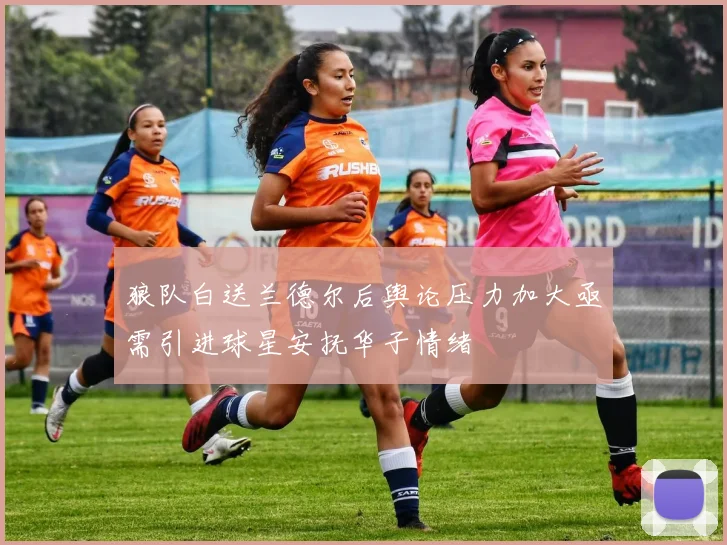 狼队白送兰德尔后舆论压力加大亟需引进球星安抚华子情绪